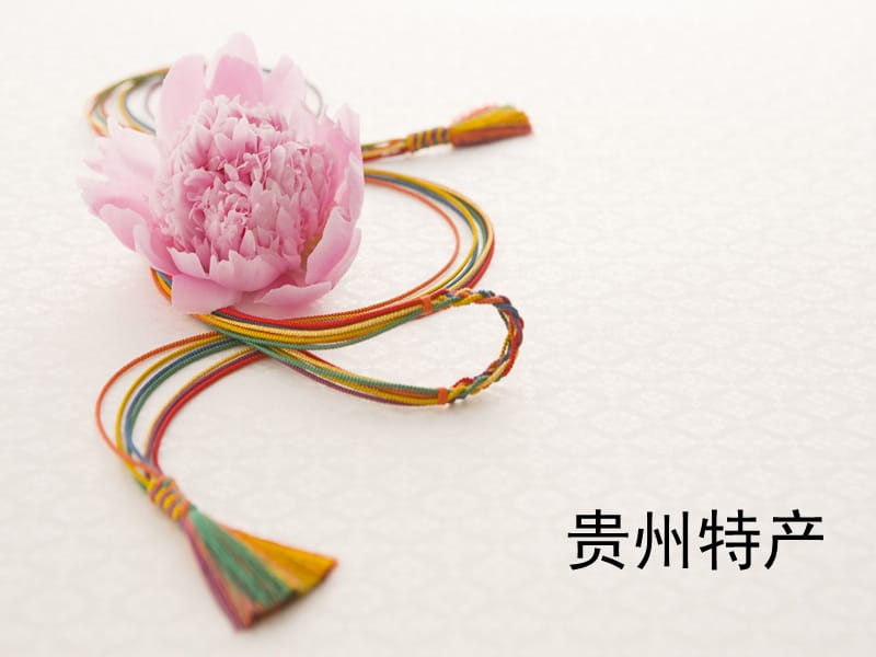 第1頁