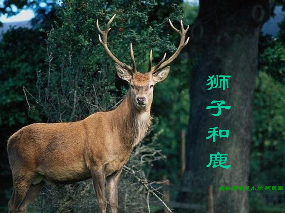 第1頁(yè)