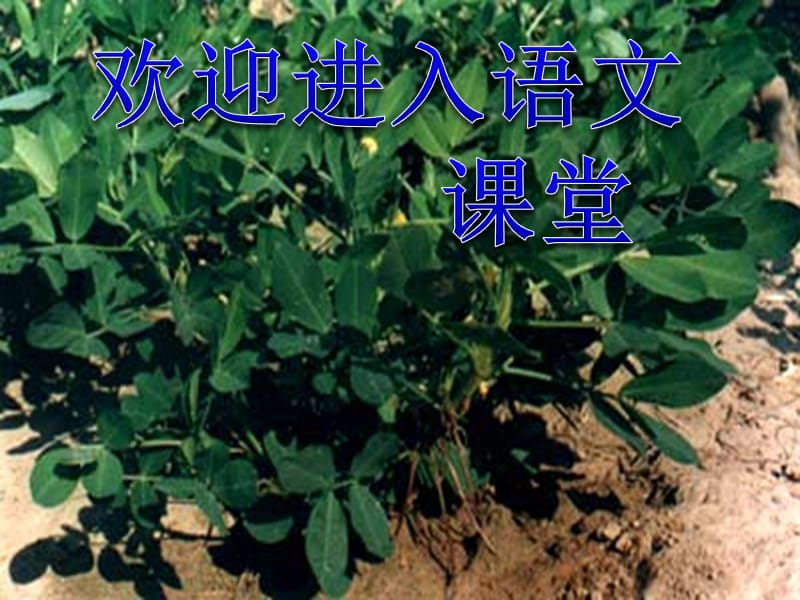 第1頁