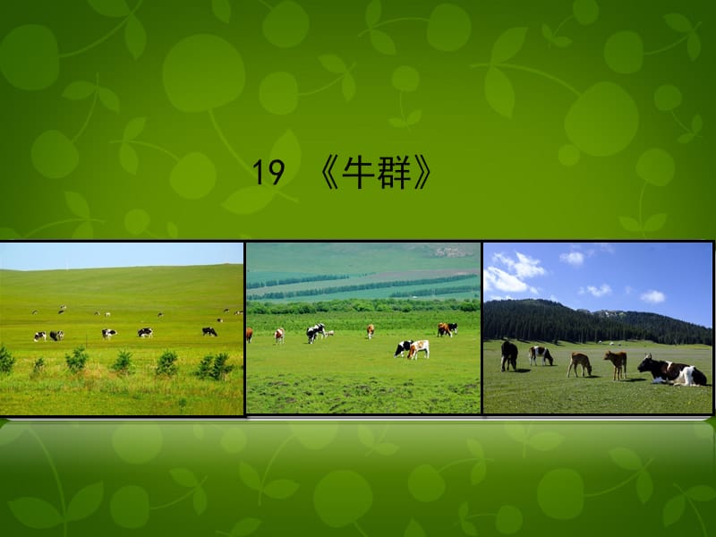 第1頁