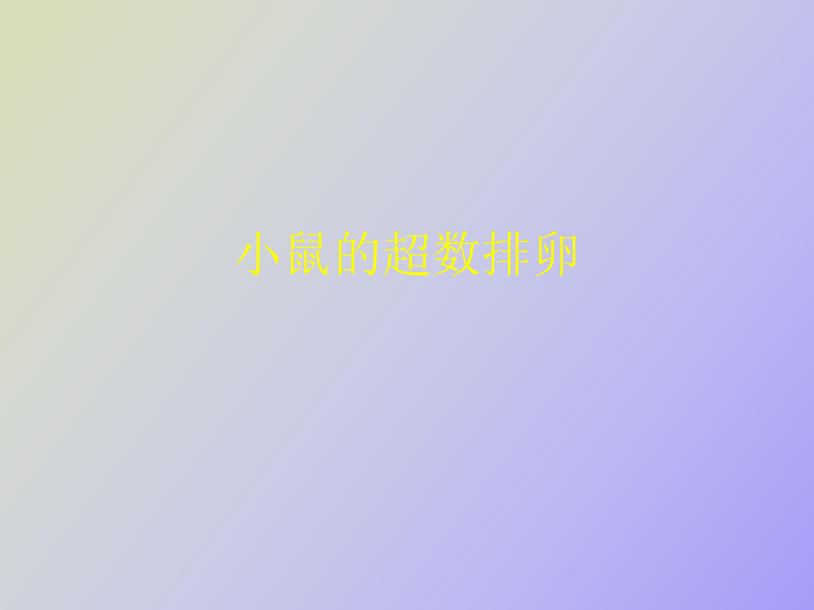 第1页