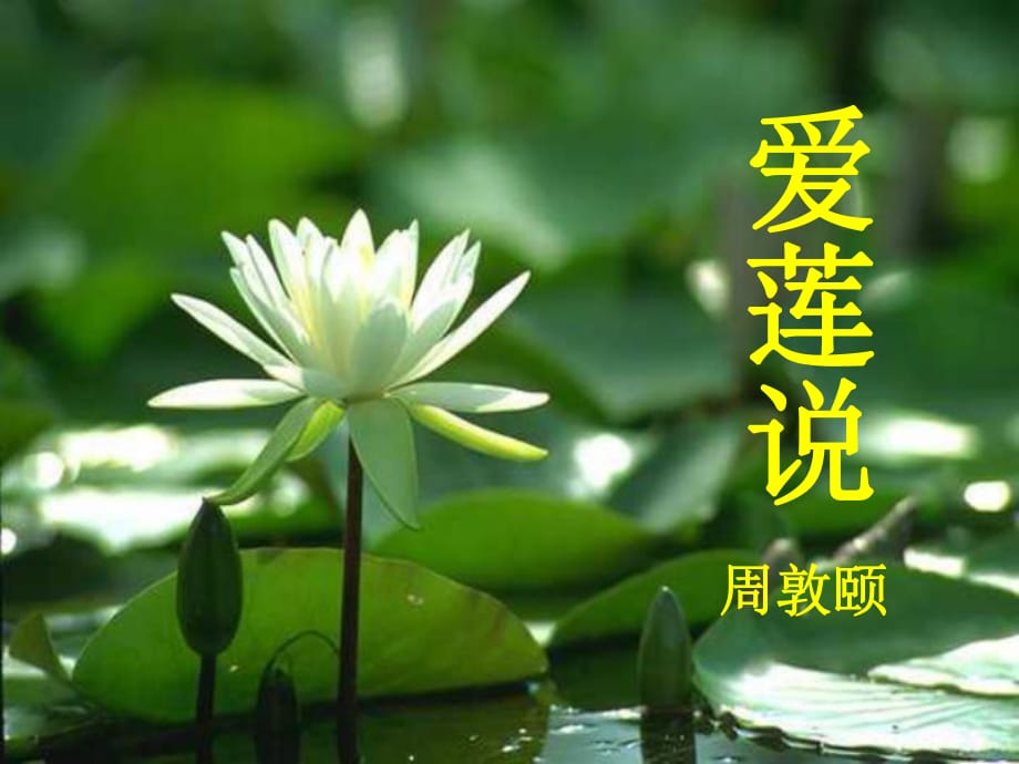 第1頁(yè)