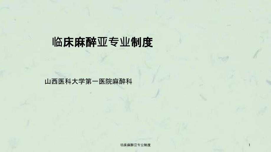 第1页