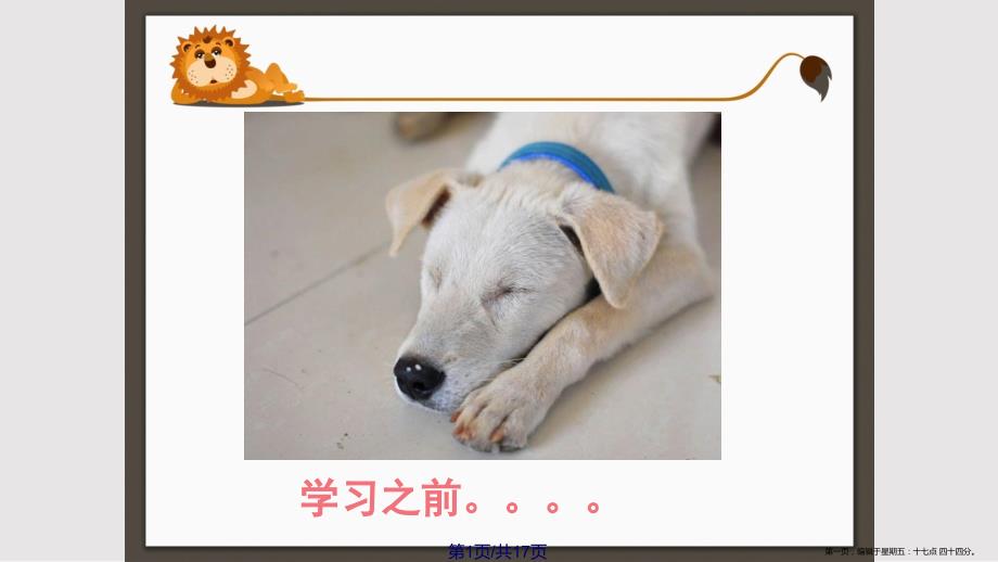 第1页