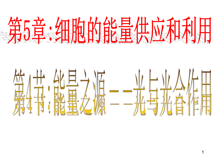 第1页