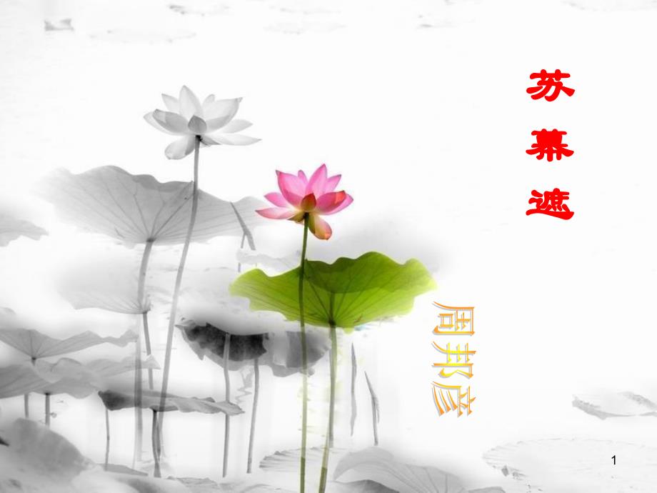 第1页