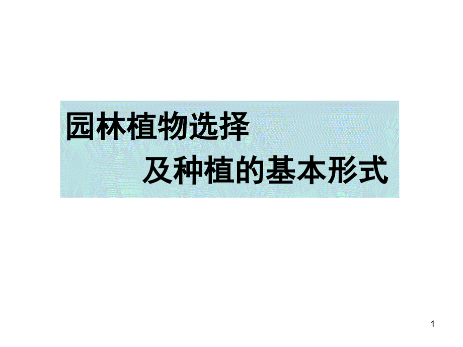 第1页