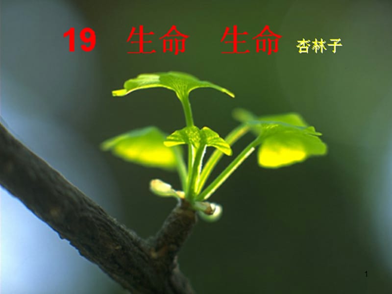 第1页