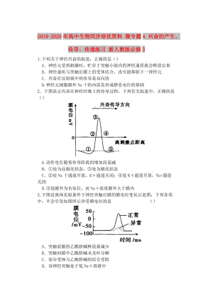 2019-2020年高中生物同步培優(yōu)資料 微專題4 興奮的產(chǎn)生、傳導(dǎo)、傳遞練習(xí) 新人教版必修3.doc