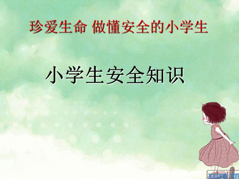 《小学生安全常识》PPT课件.ppt_第1页