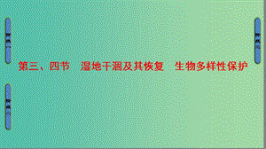 高中地理第4章生態(tài)環(huán)境保護(hù)第3節(jié)第4節(jié)濕地干涸及其恢復(fù)生物多樣性保護(hù)課件新人教版.ppt
