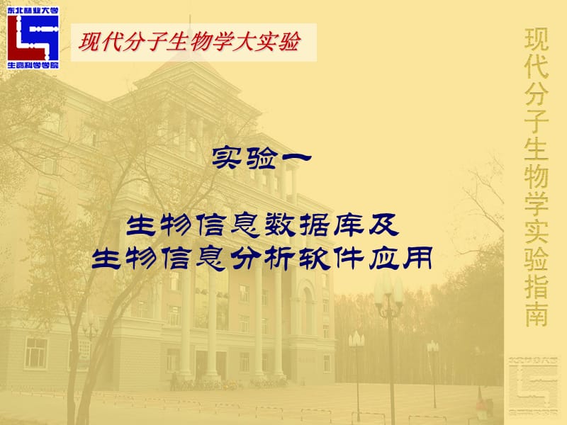 生物信息数据库及生物信息分析软件应用.ppt_第1页