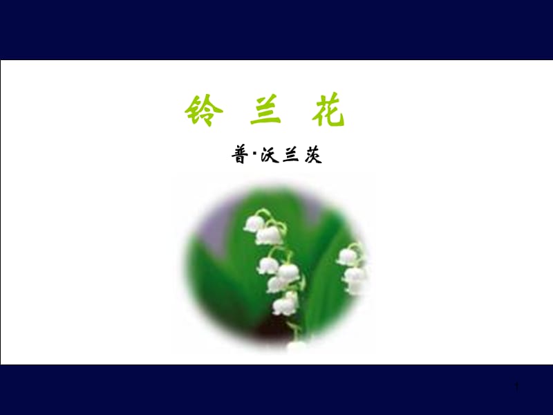 铃兰花ppt课件_第1页
