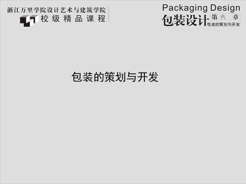 包装的策划与开发六.ppt_第1页