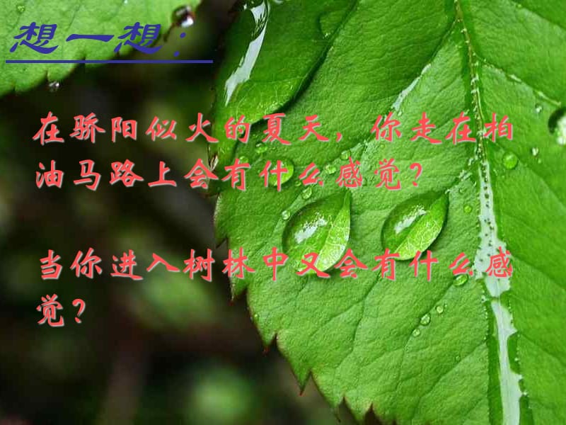 绿色植物的蒸腾作用.ppt_第1页