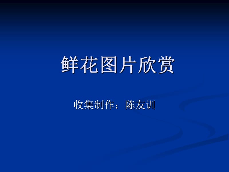 鲜花图片欣赏PPT(制作：陈友训).ppt_第1页