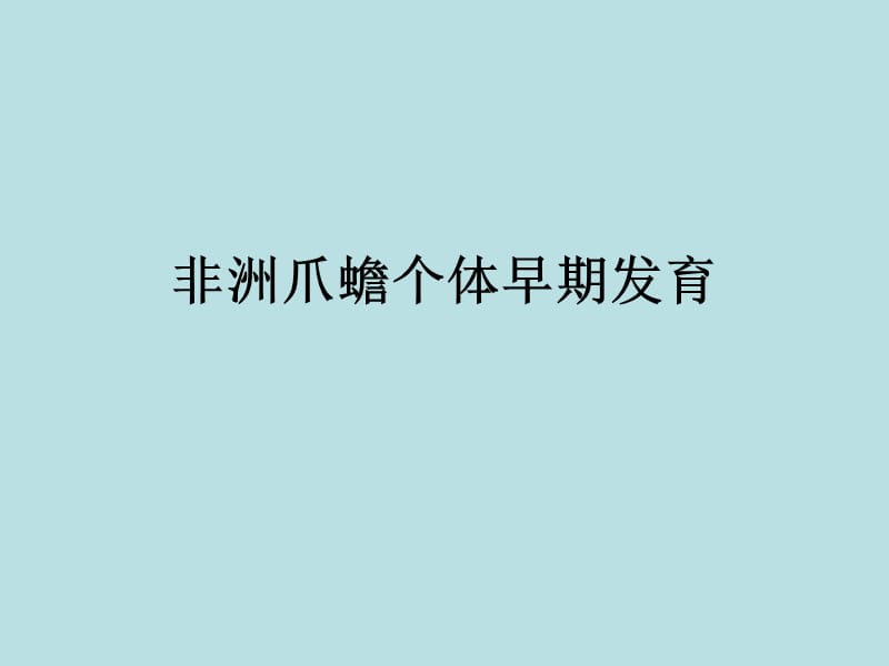 非洲爪蟾个体早期发育.ppt_第1页
