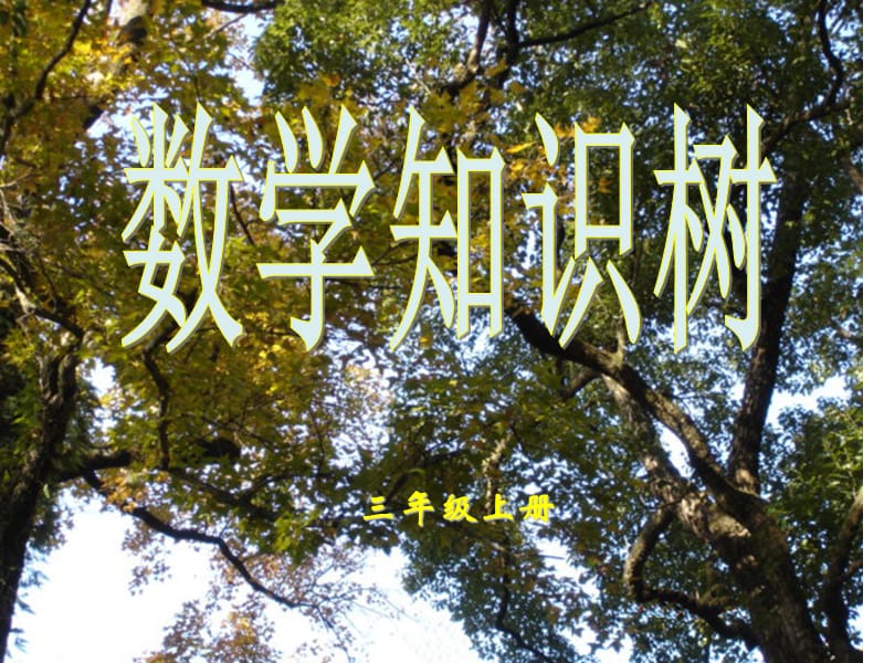 三年级上册数学知识树.ppt_第1页
