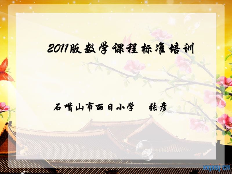 《数学课程标准培训》PPT课件.ppt_第1页