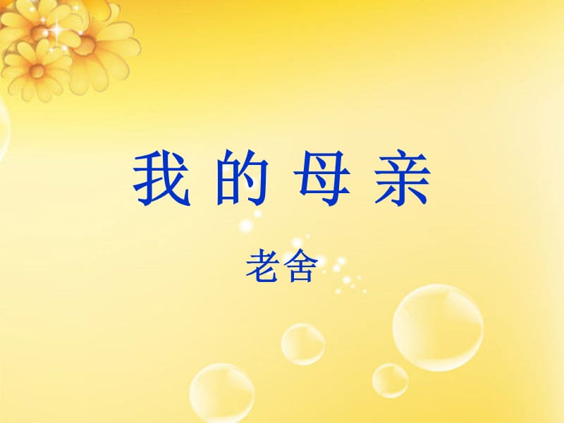 《我的母亲赏析》PPT课件.ppt_第1页
