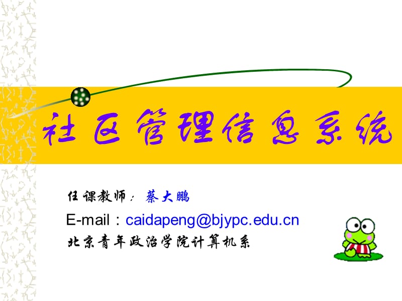 《社区管理信息系统》PPT课件.ppt_第1页