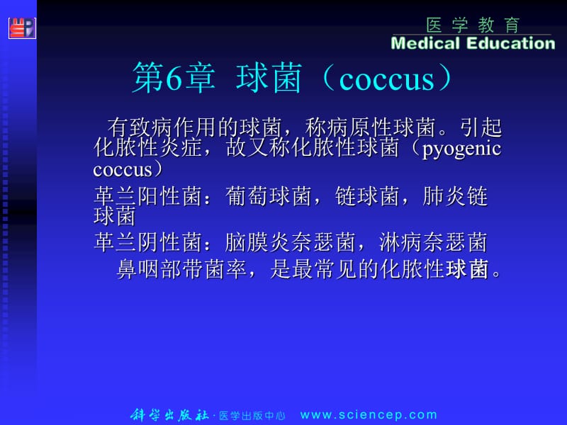 《球菌coccus》PPT课件.ppt_第1页