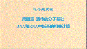2018-2019高中生物 第4章 遺傳的分子基礎(chǔ) 微專(zhuān)題突破 DNA和RNA中堿基的相關(guān)計(jì)算課件 蘇教版必修2.ppt