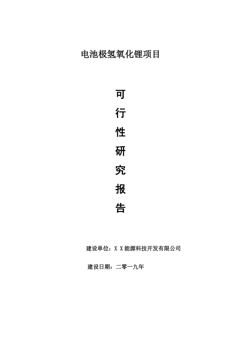 电池极氢氧化锂项目可行性研究报告【可编辑】_第1页