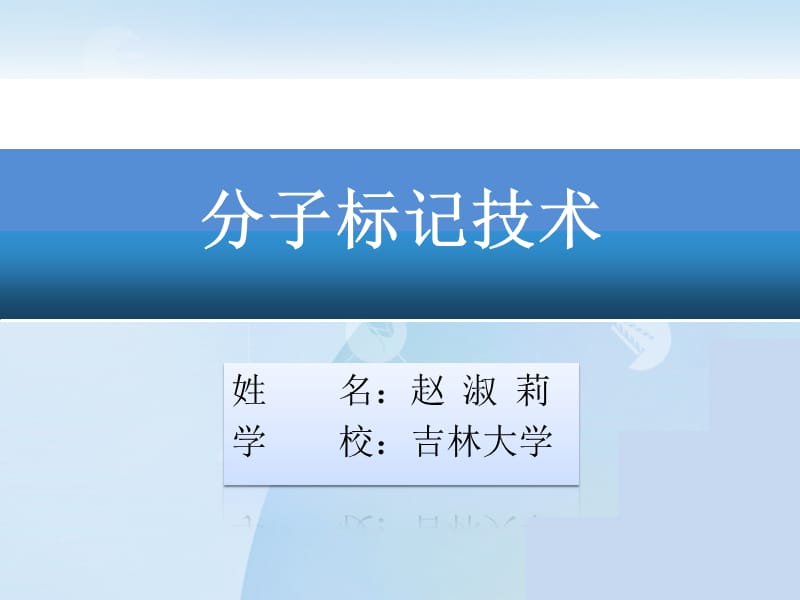 分子标记技术的类型原理及应用-ppt.ppt_第1页