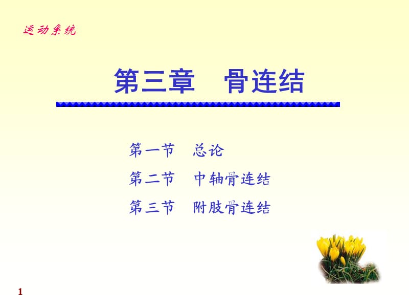 《运动解剖学》第5次课：骨连结.ppt_第1页