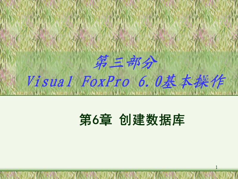 VF编程数据库的创建.ppt_第1页