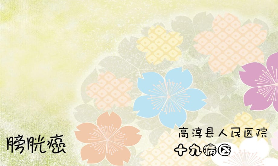 膀胱癌课件.ppt_第1页