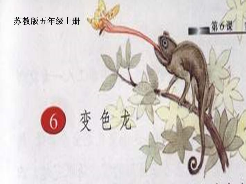 《变色龙》PPT课件.ppt_第1页