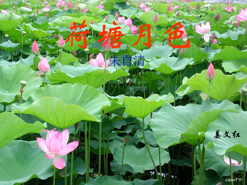 荷塘月色-4-6段教案.ppt_第1页