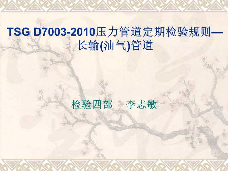 TSGD7003-2010压力管道定期.ppt_第1页