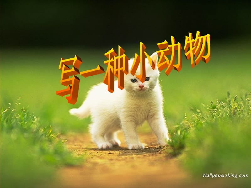 《写小动物的资料》PPT课件.ppt_第1页