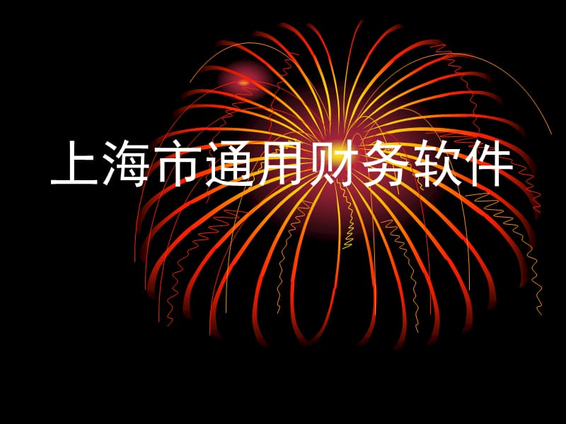 《上海市通用财务软》PPT课件.ppt_第1页