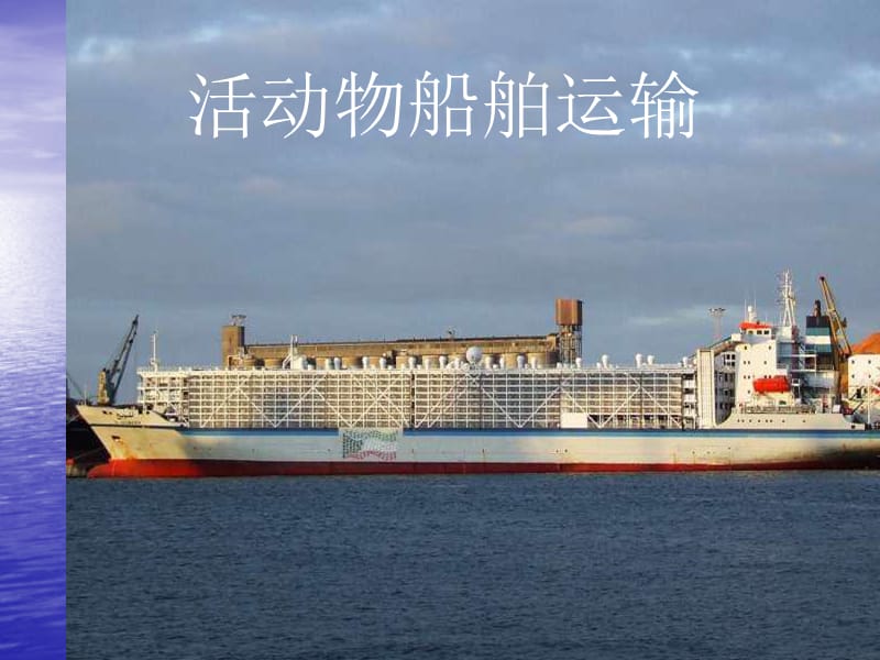 《活动物船舶运输》PPT课件.ppt_第1页