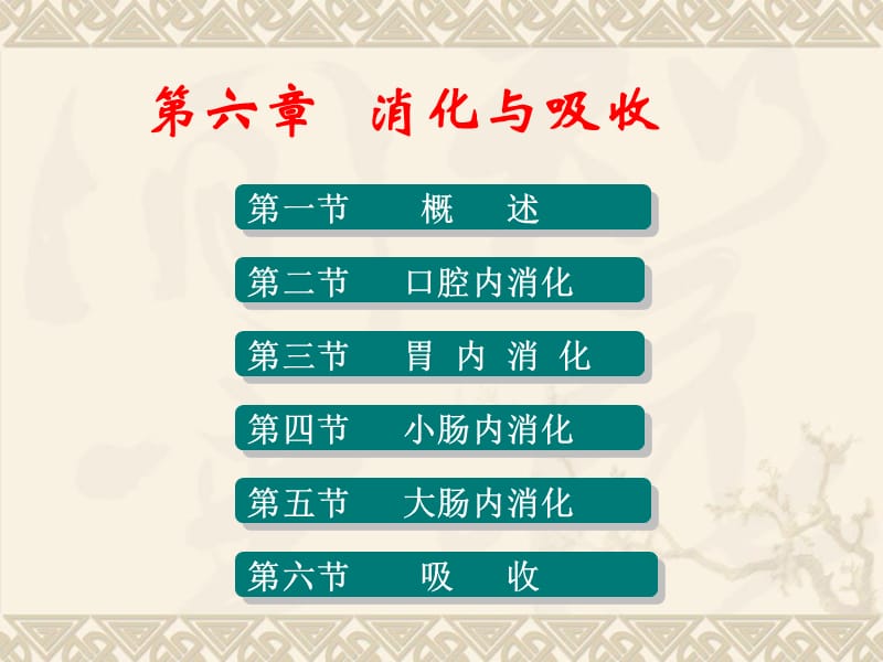 《消化与吸收》PPT课件.ppt_第1页
