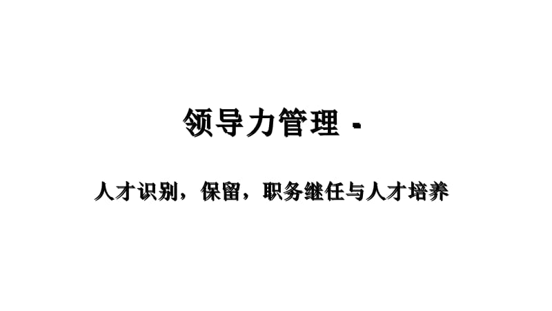 领导力管理-人才识别,保留,职务继任与人才培养_第1页