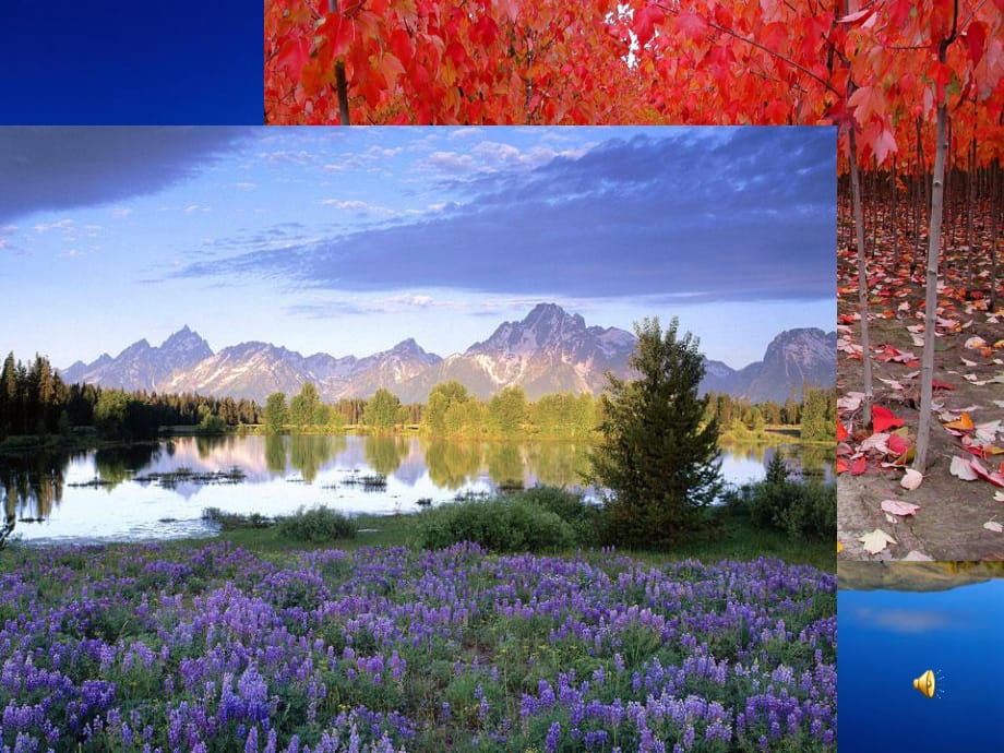 如何让作文语言亮起来之青春痘采用本_第1页