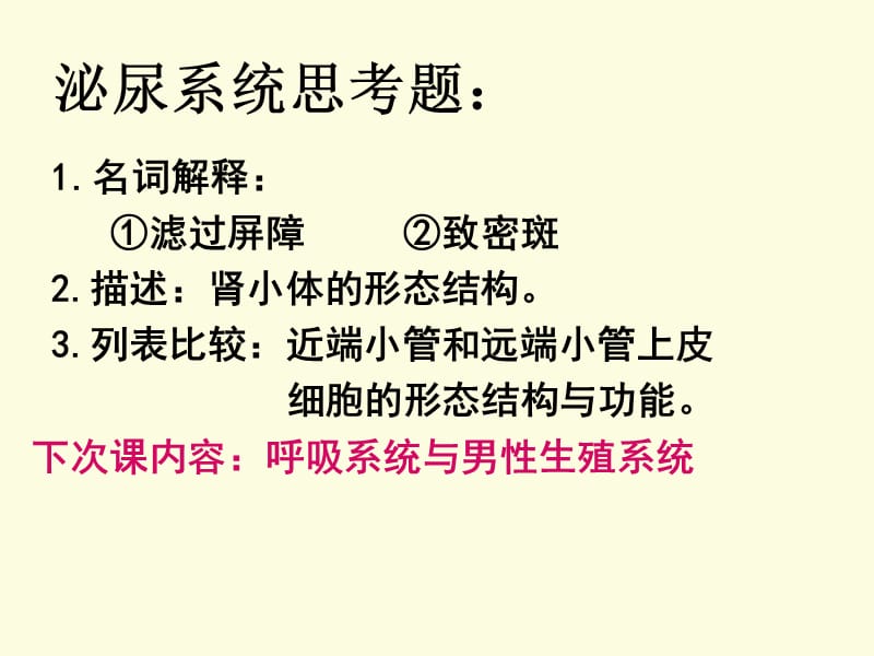 《泌尿系统》课件_第1页