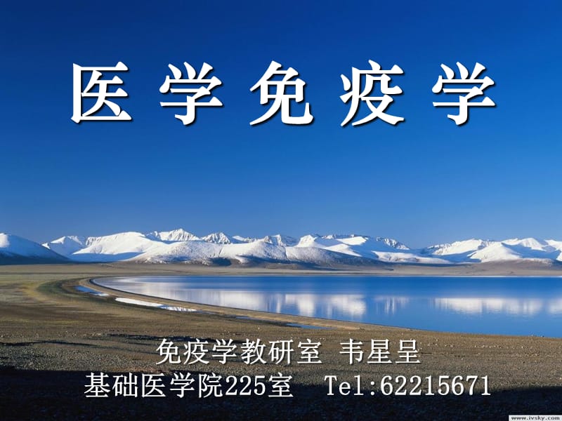 《秋普本免疫C》PPT课件_第1页