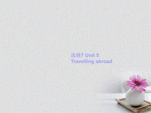 高考英語(yǔ)一輪復(fù)習(xí) Unit 5 Travelling abroad課件 新人教版選修7