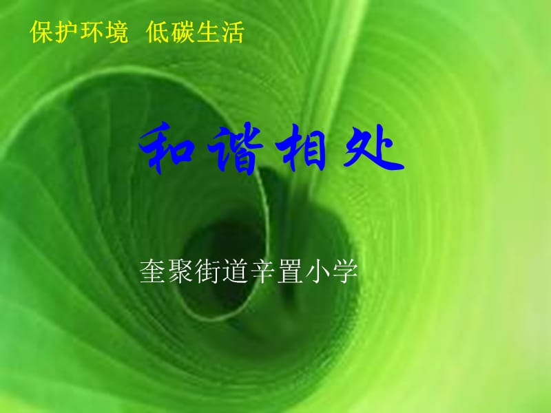 《和谐相处》PPT课件_第1页