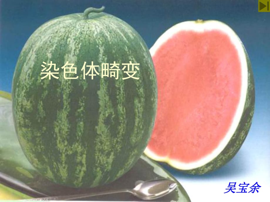 沪科版生物高中第三册8.3《染色体畸变》 课件 (共31张PPT)_第1页