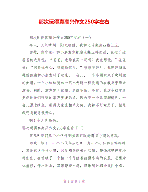 那次玩得真高興作文250字左右