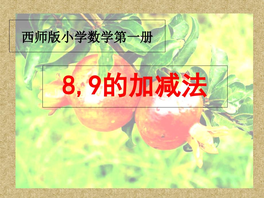 第1页