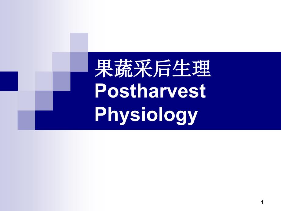 第1页