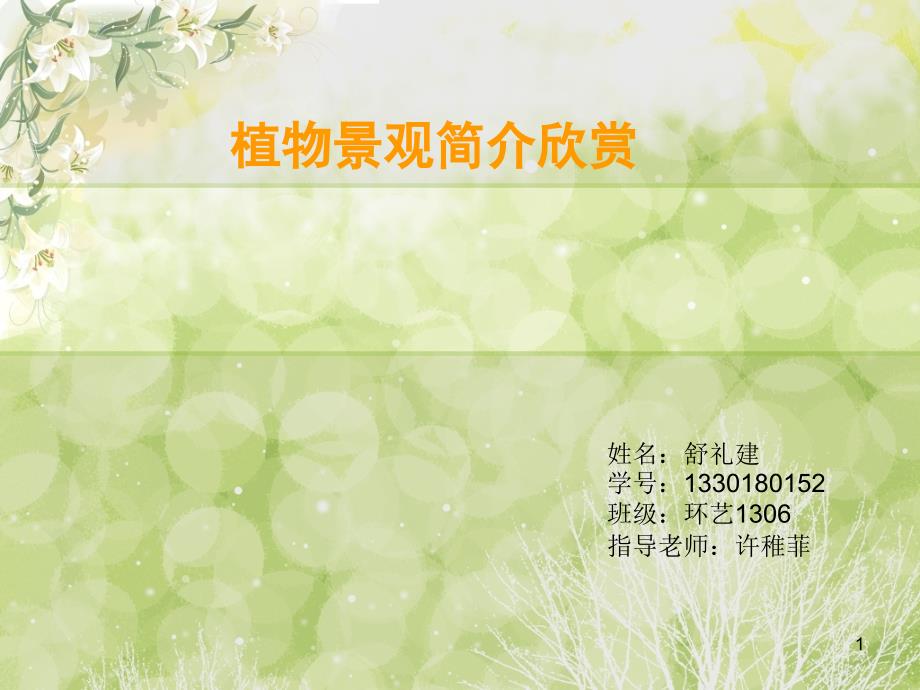 第1页